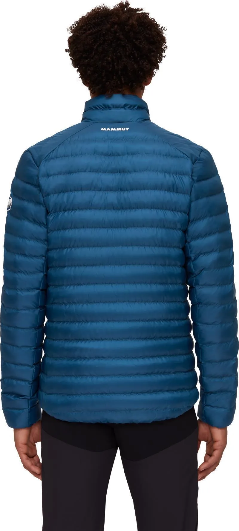 Albula IN Jacket - Mens