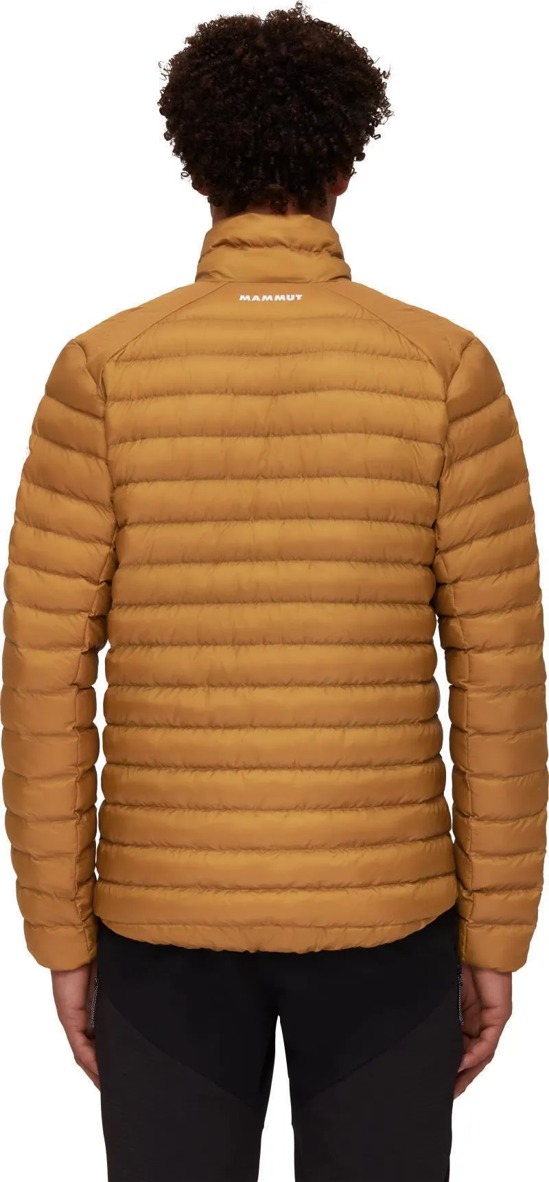 Albula IN Jacket - Mens